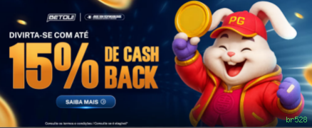 br528 slots no app
